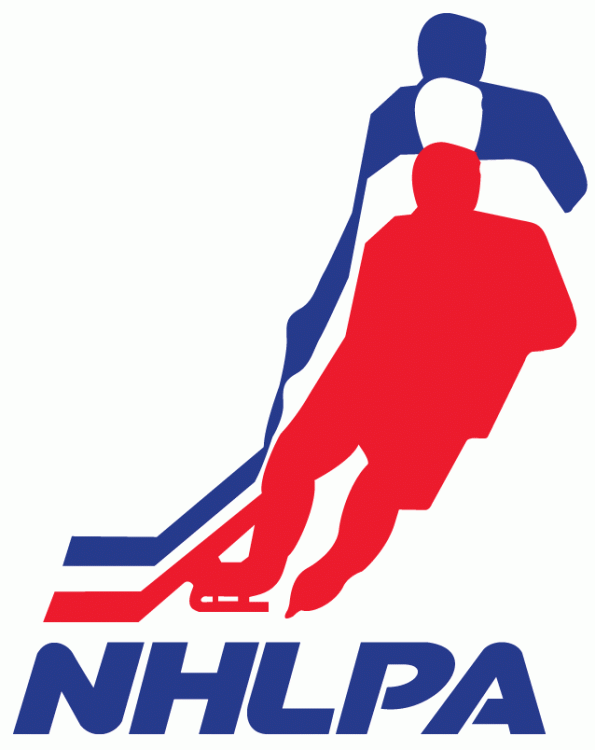 NHLPA 1971-2013 Primary Logo iron on transfers for clothing